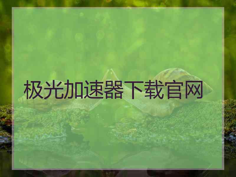 极光加速器下载官网